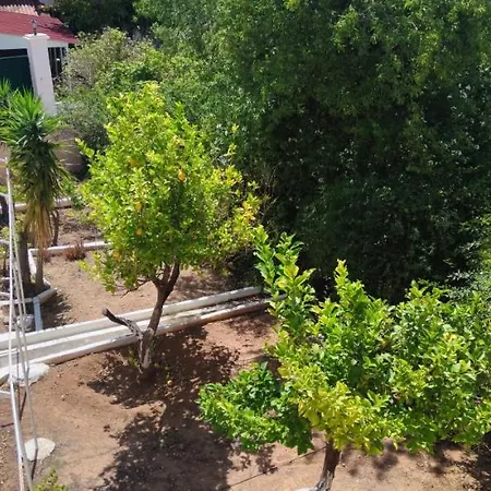 Penthouse Studio Next To The Sea Salamina Exterior photo